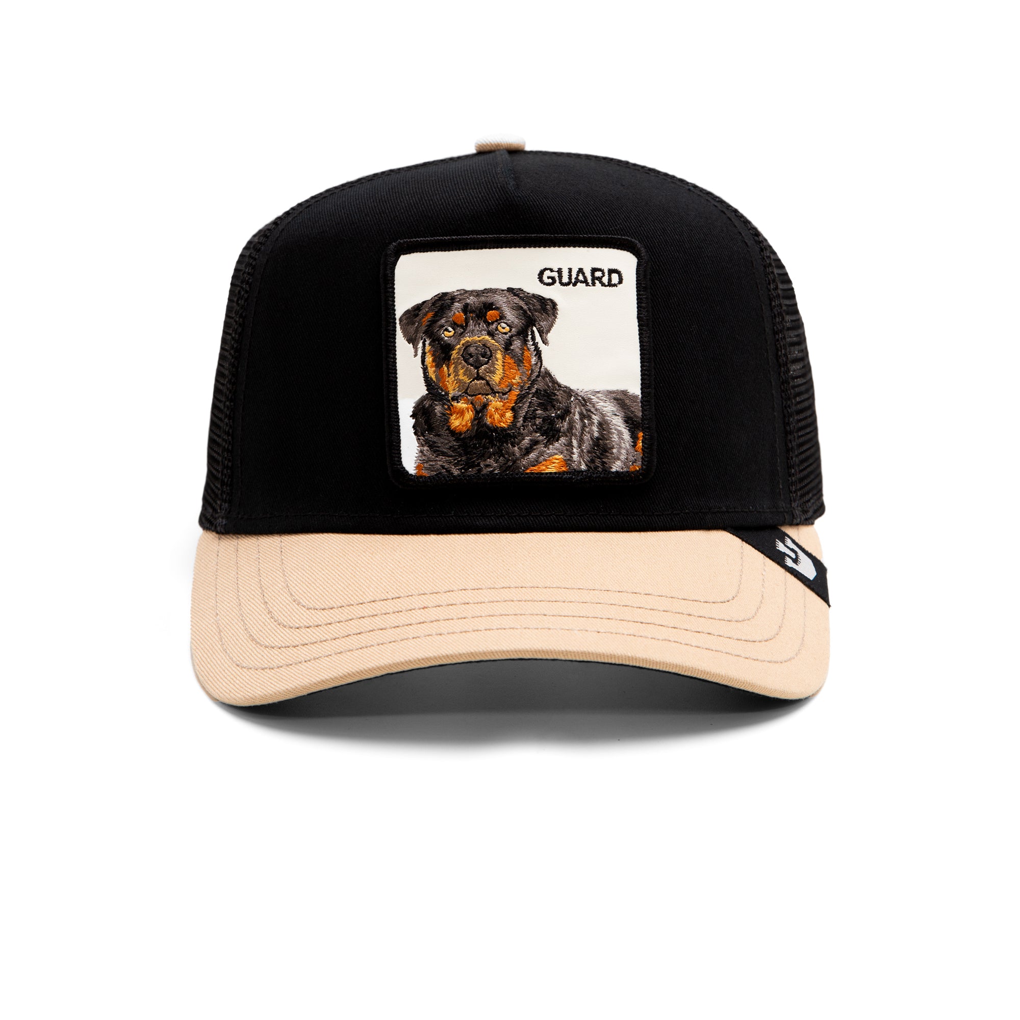 Guard Dog Security System for Home Protection