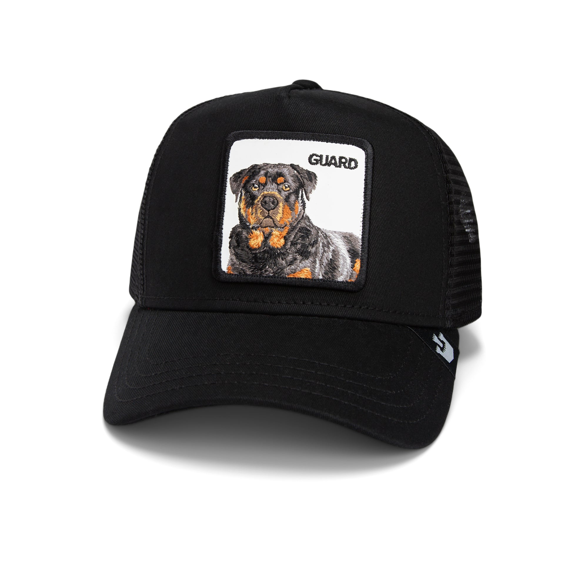 Guard Dog Security System for Home Protection