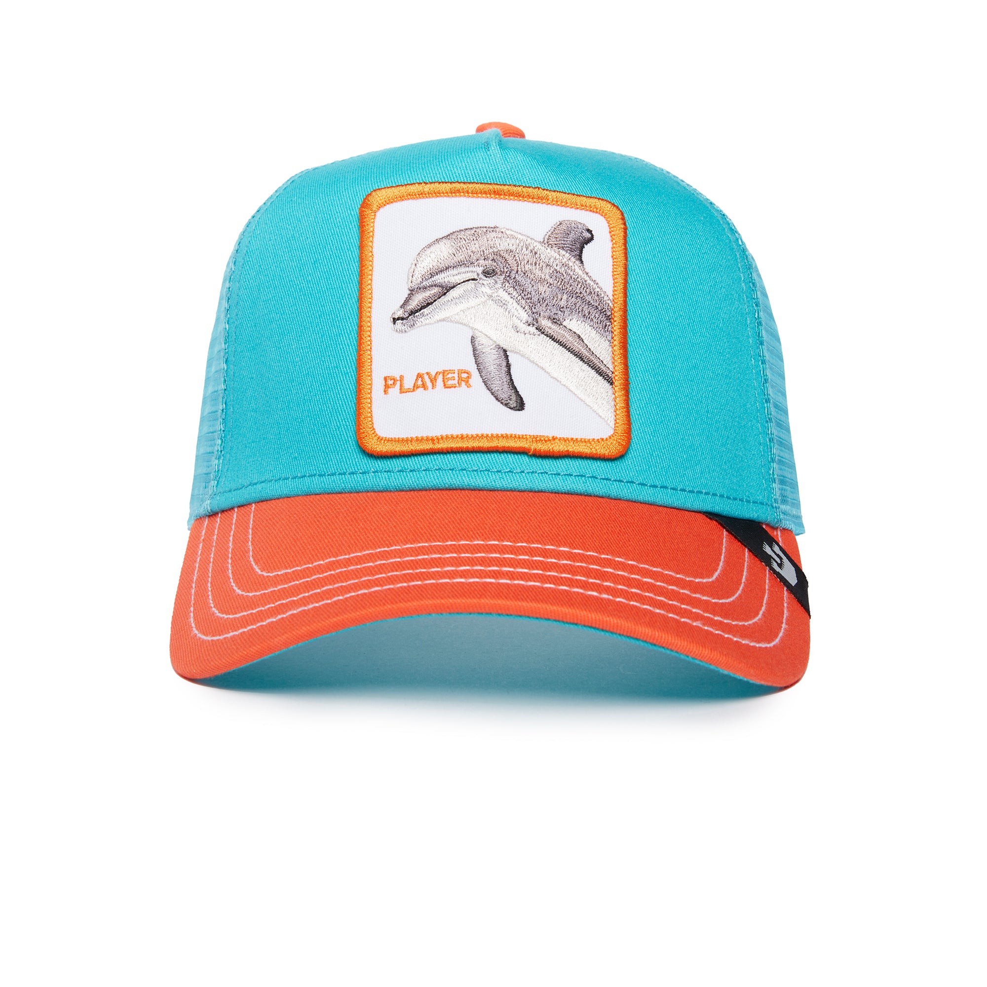 Dolphin Player for Immersive Gaming