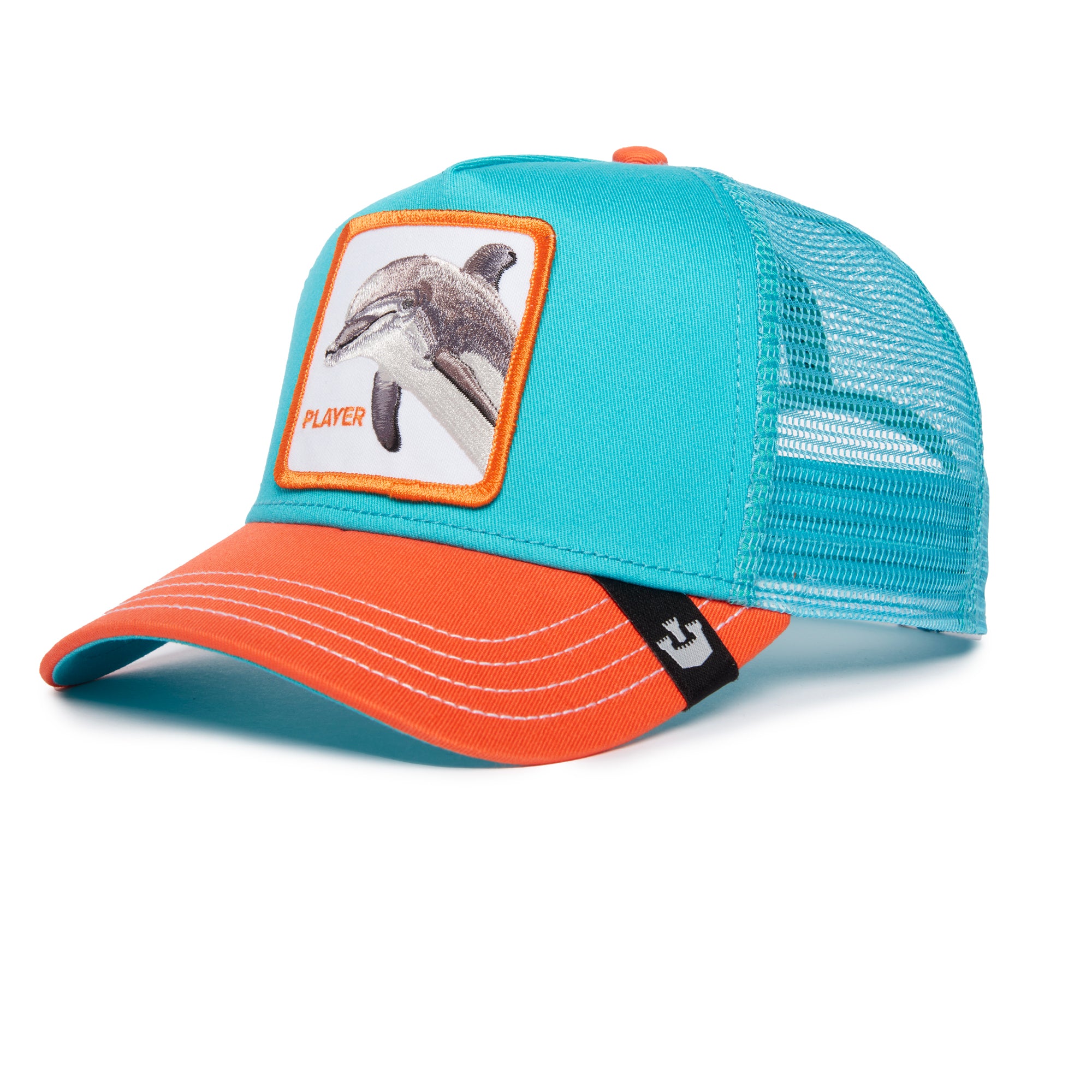 Dolphin Player for Immersive Gaming