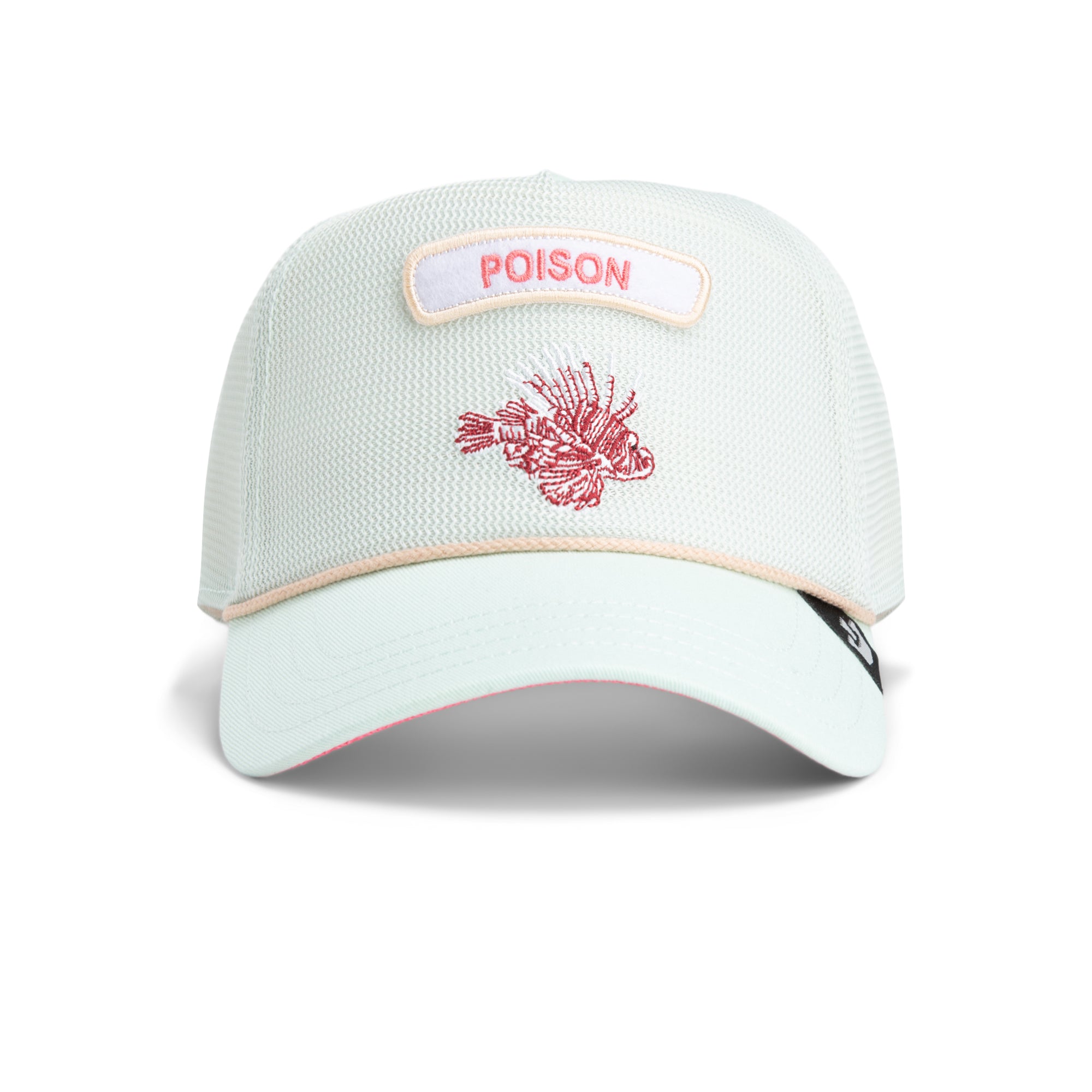 Customizable Options for You