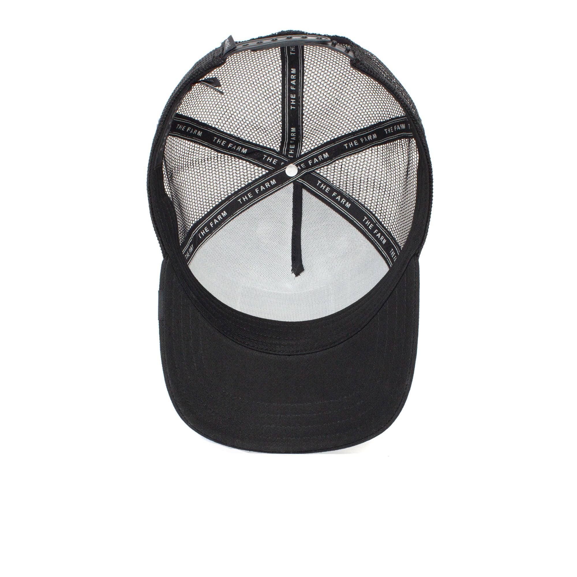 Freedom Eagle - Premium Outdoor Adventure Gear