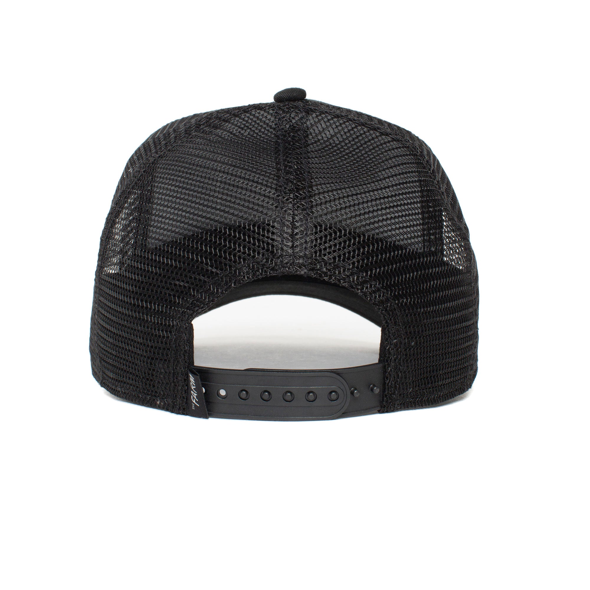 Freedom Eagle - Premium Outdoor Adventure Gear