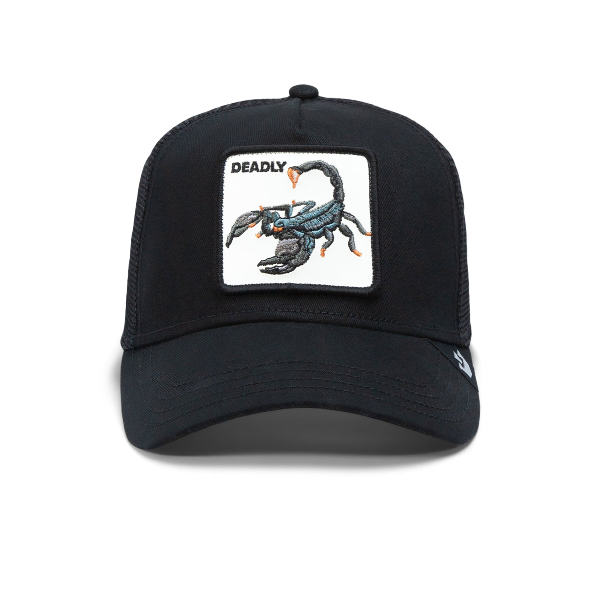 Lethal Scorpion: Ultimate Survival Gear