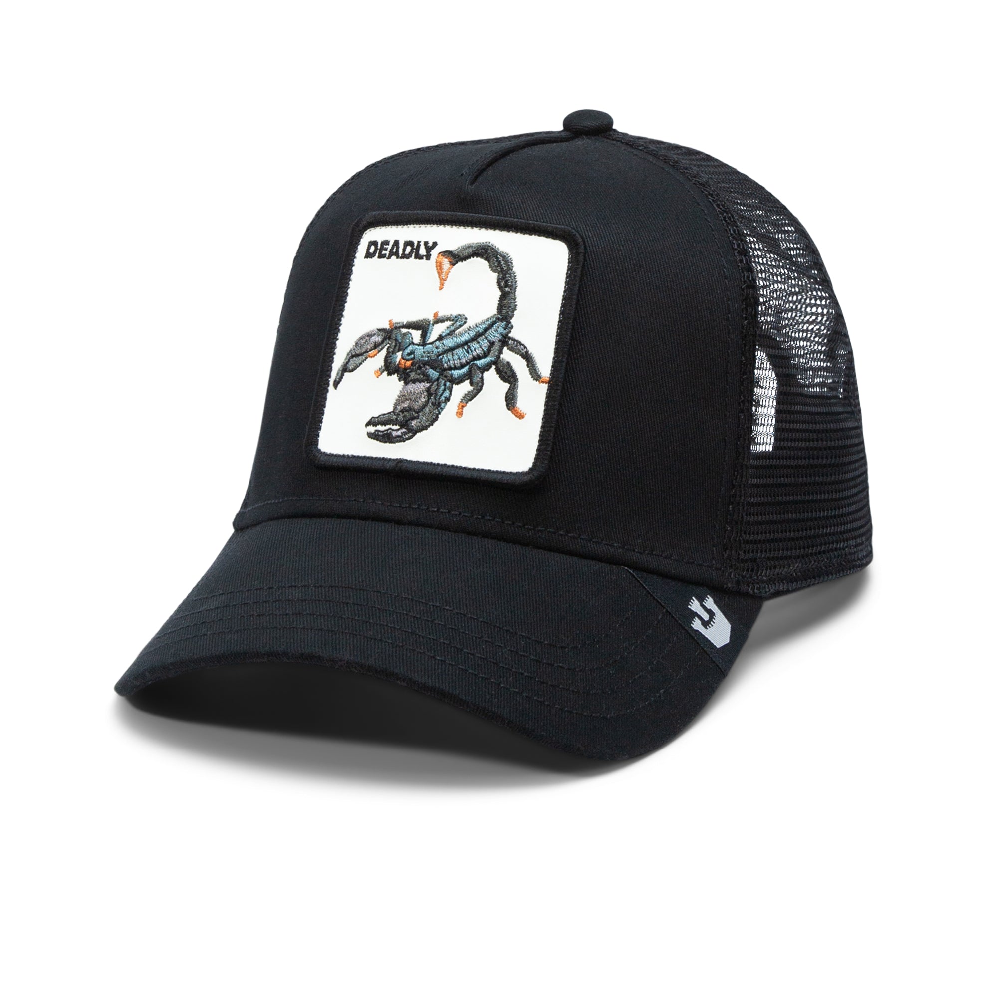 Lethal Scorpion: Ultimate Survival Gear